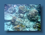 Helengeli 289